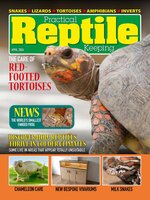Practical Reptile Keeping